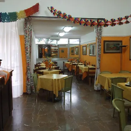 Midy Viareggio